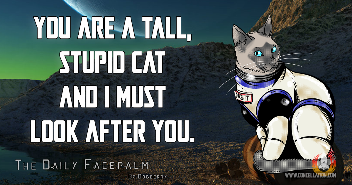 Orbit Tall Cat