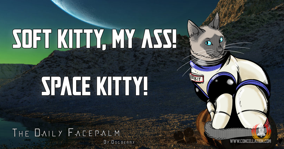 Space Kitty